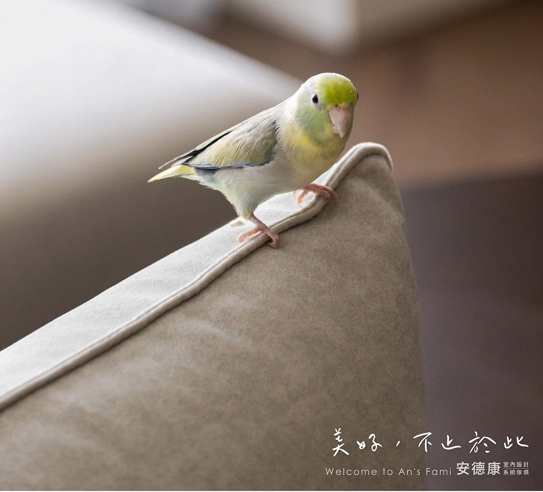 台南仁德CASA|19坪三房兩廳,讓弧形與木質感融合的日常