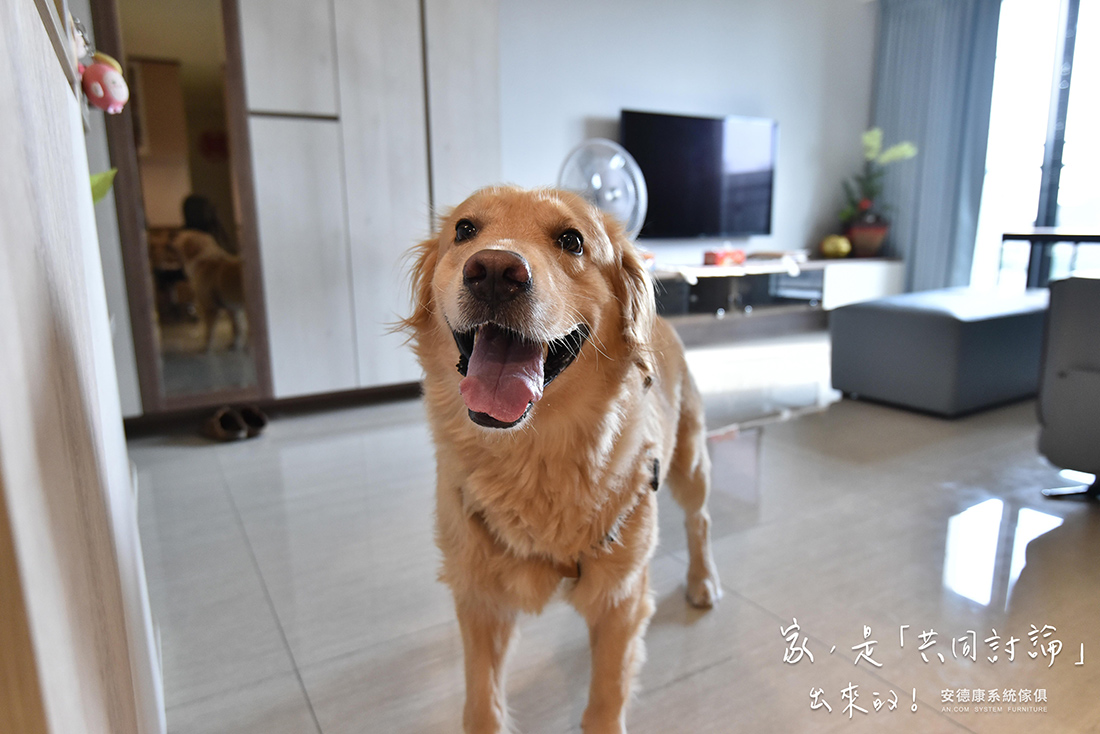 家，是共同討論出來的！